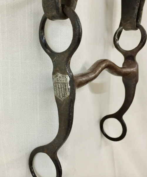 Shield bit