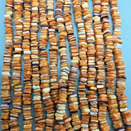 spiny oyster square beads