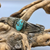 turquoise bracelet