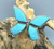Turquoise butterfly ring