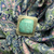 Turquoise and textures sterling silver ring
