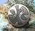 Eddie Nequatewa pin
