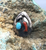 Coral and turquoise pin, brooch, pendant