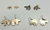 bear earrings