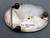 Matching Zuni  bracelet and buckle
