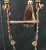 headstall, braided horsehair, Buermann bit