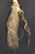 beaded "skull cracker", rawhide, horsehair tassel, stone wrapped