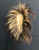 antique Plains hair roach/ headress with leather ties, porcupine guard hair stitched to a tight wool/felt base.