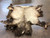Hand painted elk hide, beadwork, leather, Plains, antlers, hooves
