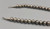 vintage Navajo pearl necklace, graduating sizes, conjoined by silver findings and strung on a link chain