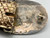 Hopi overlay belt buckle, cornstalk overlay design, darkened and brushed silver background