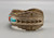 sterling and cobblestone inlay bracelet by Navajo artist, Harrison Jim, cobblestone inlay of turquoise and coral, brushed background