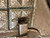 Fancy black Ted Flowers Parade Saddle with Serape and Accessories