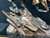 Stork Race Payne Bronze Horse