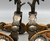 antique, California style spurs, silver mountings, single mounted, engraved silver, engraved silver dot, eight point rowel, late 1800s to early 1900s