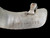 E.F. Blanchard, #2 Spurs, Yucca, AZ, swing buttons, short shank, wide heel bands, 1960s