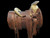 Handmade Charro Saddle, Silver Medallion Horn Cap, Handmade Saddle, Charro Saddle