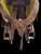 Handmade Charro Saddle, Silver Medallion Horn Cap, Handmade Saddle, Charro Saddle