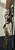 Antique Plains Bridle With Ring Bit And Barba