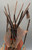 John H. Kittelson Tee Pee Lamp