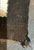 Klagetoh With Whirling Log Design - Circa 1930 to 1940