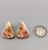 earrings with coin