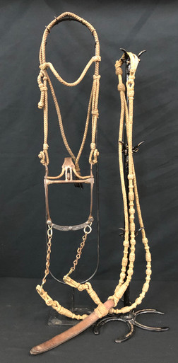 Morris Spade Bit with Braided Rawhide Headstall
