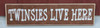 twinsies live here sign