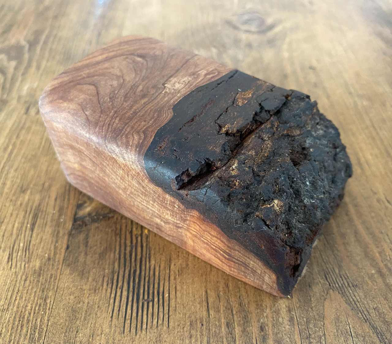 Boogie Beach Box - Balsam Fir Burl