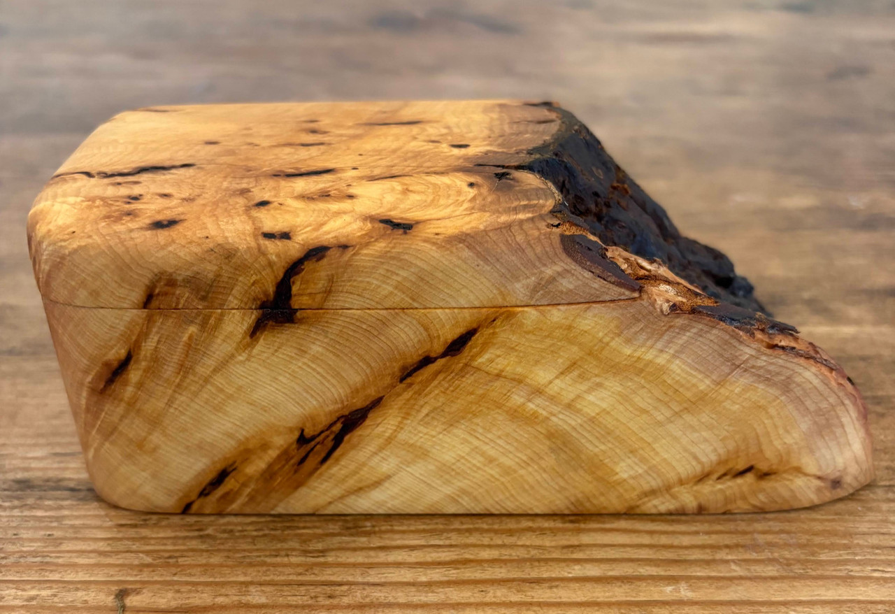 Boogie Beach Box - Yellow Cedar Burl - side view