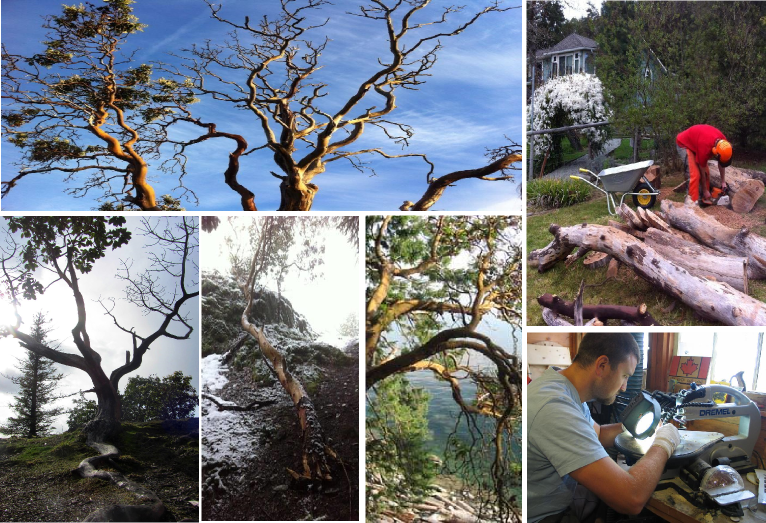 Windy Tree - Arbutus Pendants