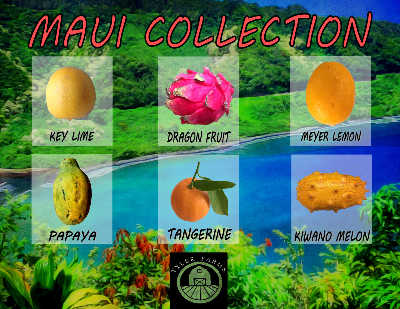 Maui Tropical Fruit Seed Collection Tyler Farms