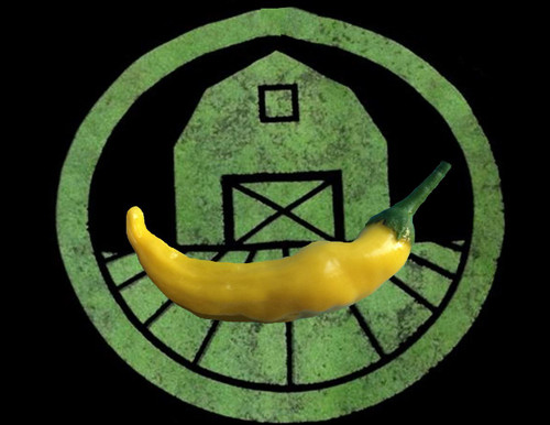 Lemon Drop Hot Pepper Organic Seeds – Hudson Valley Seed Company