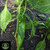 Hatch (New Mexico) Green Chile  pepper | Tyler Farms Hatch (New Mexico) Green Chile  pepper | Tyler Farms