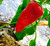 Hungarian Wax Pepper | Tyler Farms