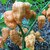 Peach 7 Pot Scorpion pepper | Tyler Farms