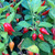 Red Biquinho Pepper | Tyler Farms