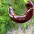 Chocolate Jimmy Nardello Sweet Italian Pepper | Tyler Farms