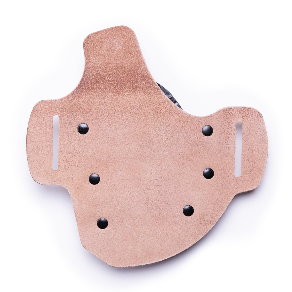 Springfield Armory Echelon 9mm OWB Holster Quick Draw