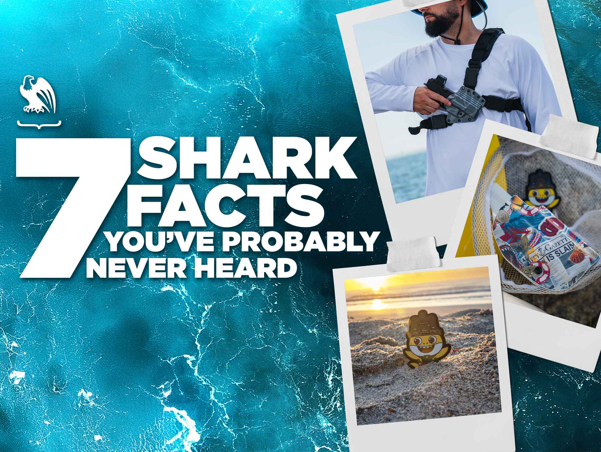 7 Fascinating Shark Facts You’ve Probably Never Heard