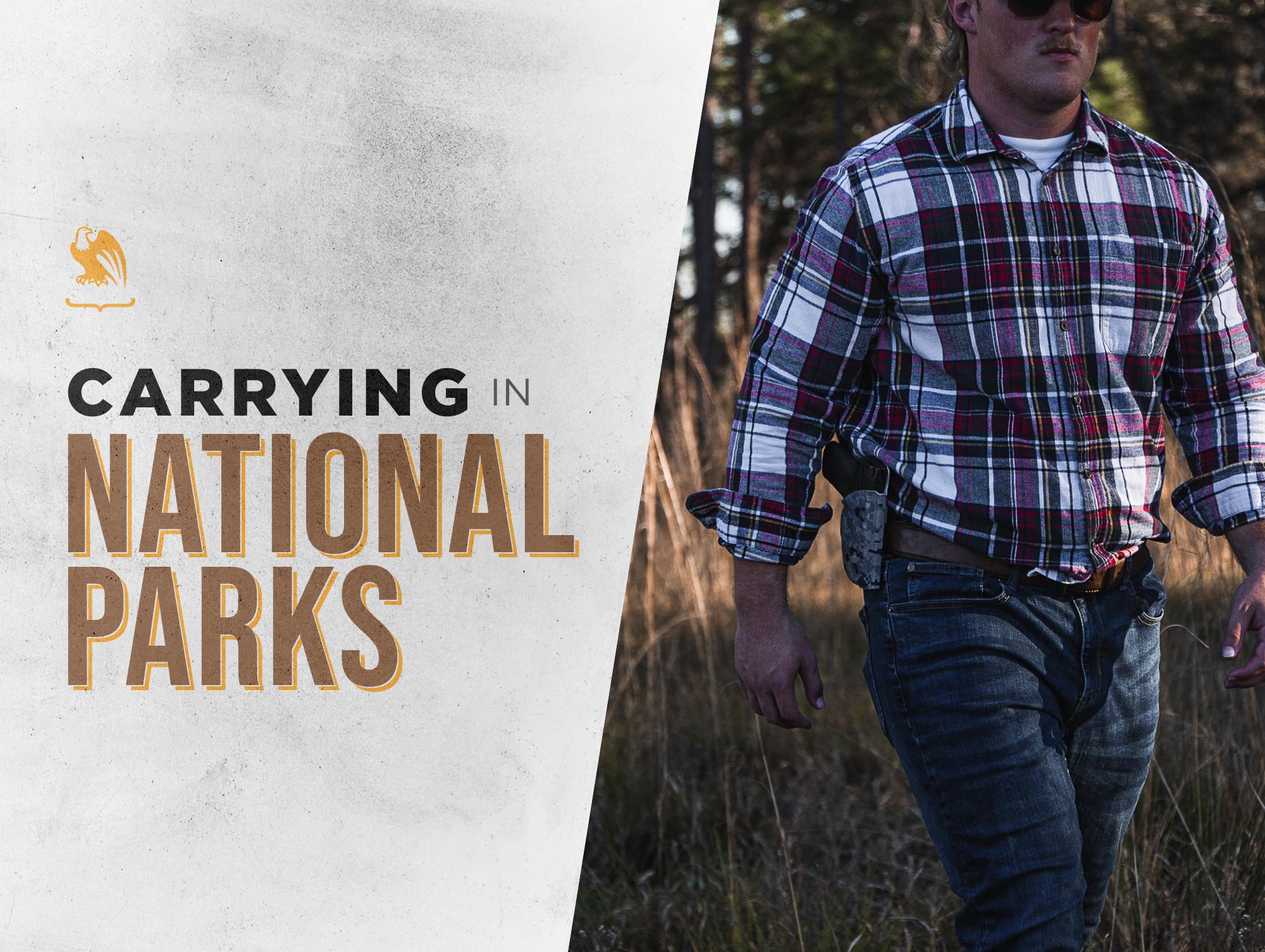 Concealed Carry in National Parks Everything You Need to Know Before