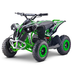 Pre Built Green 48V 1000W Teenagers Battery Powered Quad Bike