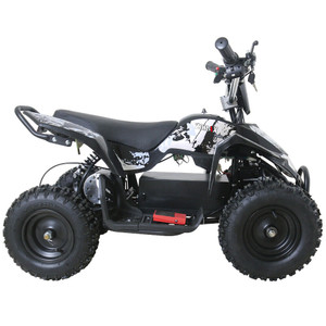 White Kids High-Torque 36v Off-Road Electric Quad Bike 800w