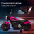 Little Girls Pink Mini Harley 6v Electric Powered Motorbike