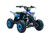 Blue 1500W 48 Volt Teens Electric Shaft Driven Motorized Quad Bike