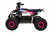 Older Girls Pink 1500W 48V Ride on Electric Shaft Driven Quad Bike