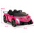 Pink 2 Seat 4WD Green Licensed Lamborghini Kids Ride On Car