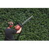 Morrison Hedge Trimmer