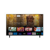 Panasonic 43" 4K LED Google TV