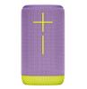 Ultimate Ears EVERBOOM Portable Bluetooth Speaker